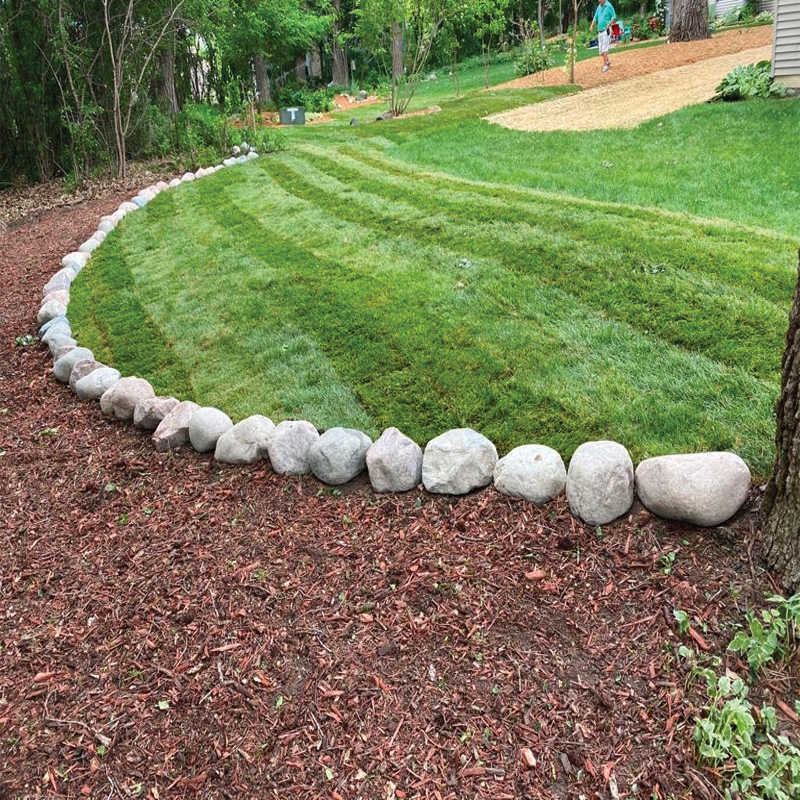 Green Season Landscape Pic-32