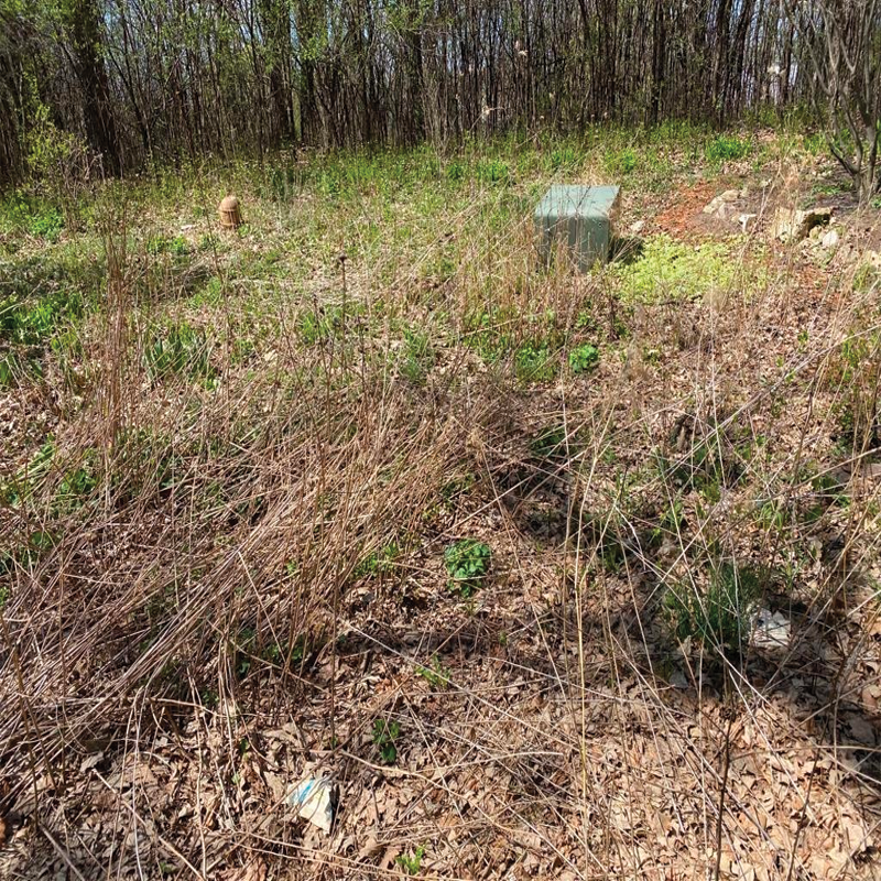 Green Season Landscape Pic-2