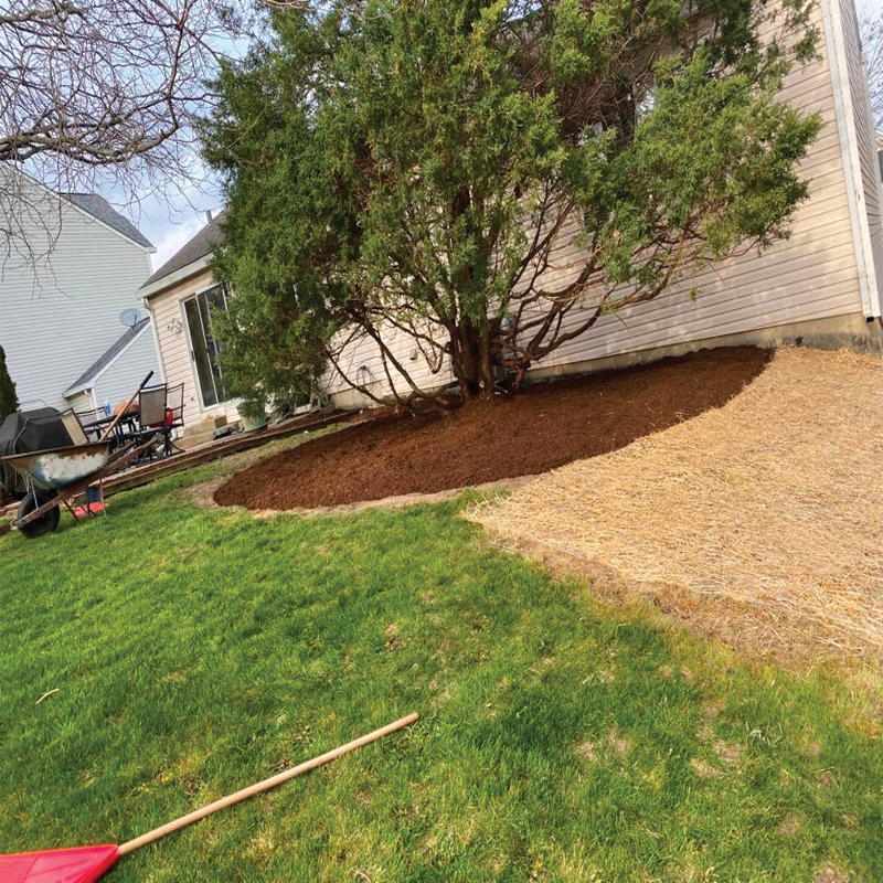 Green Season Landscape Pic-24