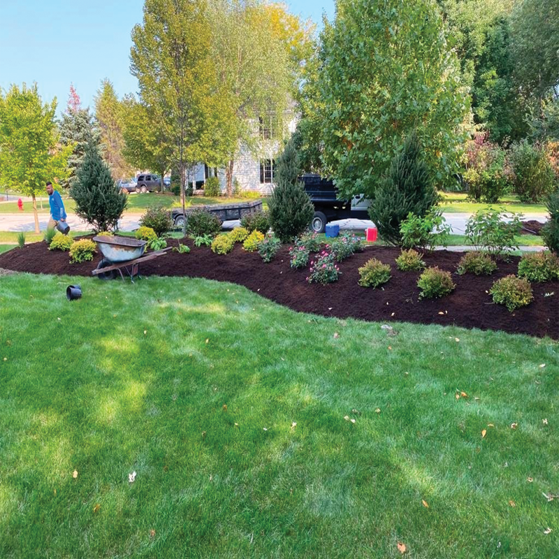 Green Season Landscape Pic-44