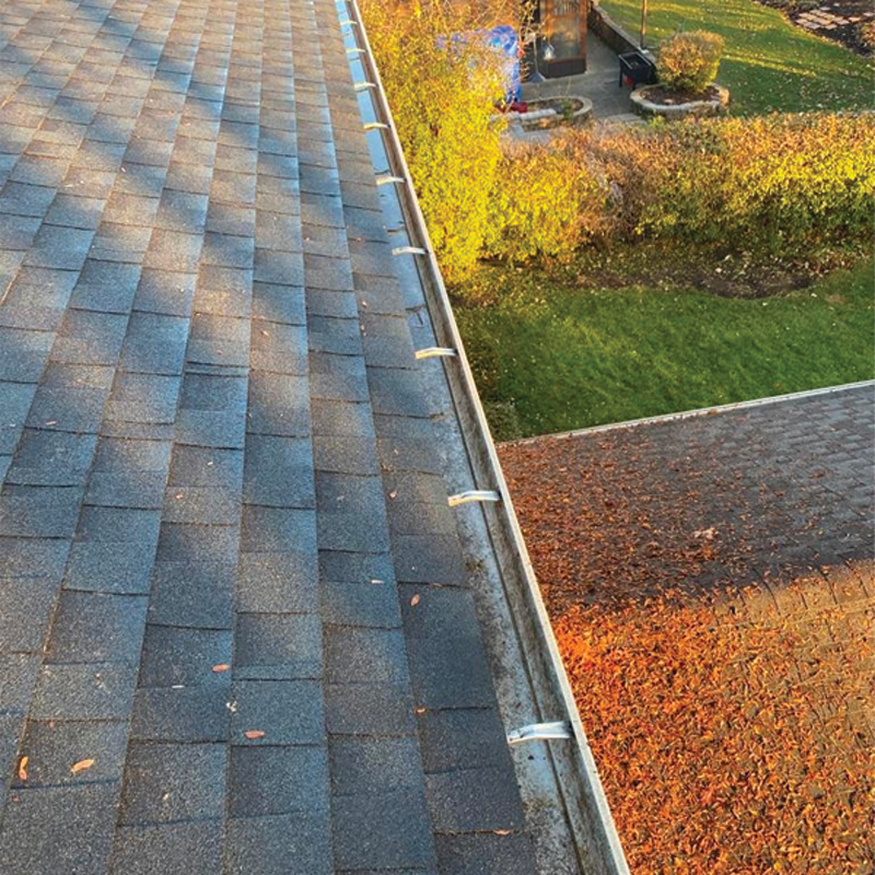 Green Season Landscape Pic-61