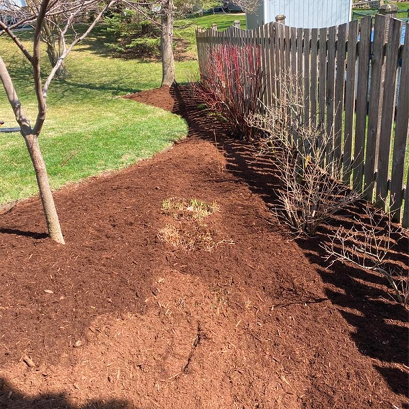 Green Season Landscape Pic-40