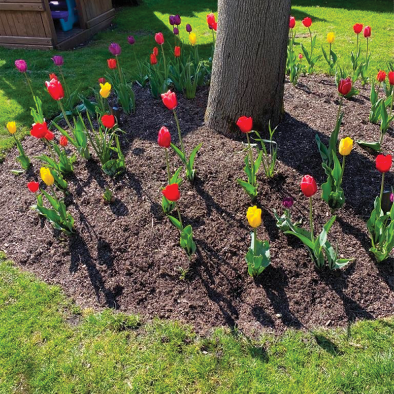 Green Season Landscape Pic-25