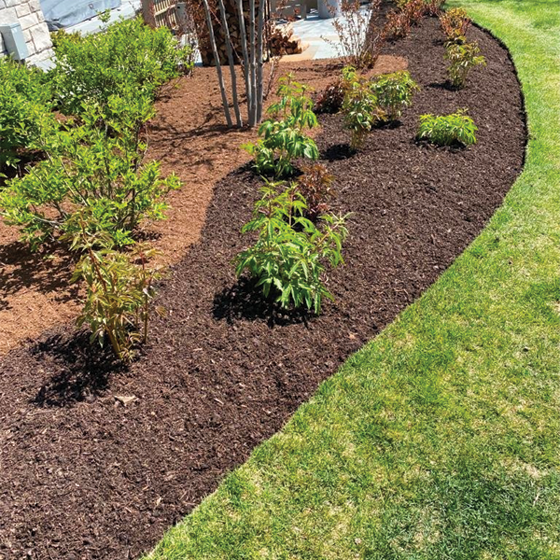 Green Season Landscape Pic-7