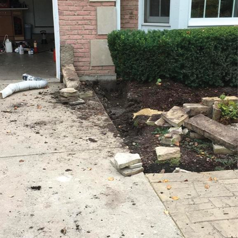 Green Season Landscape Pic-93