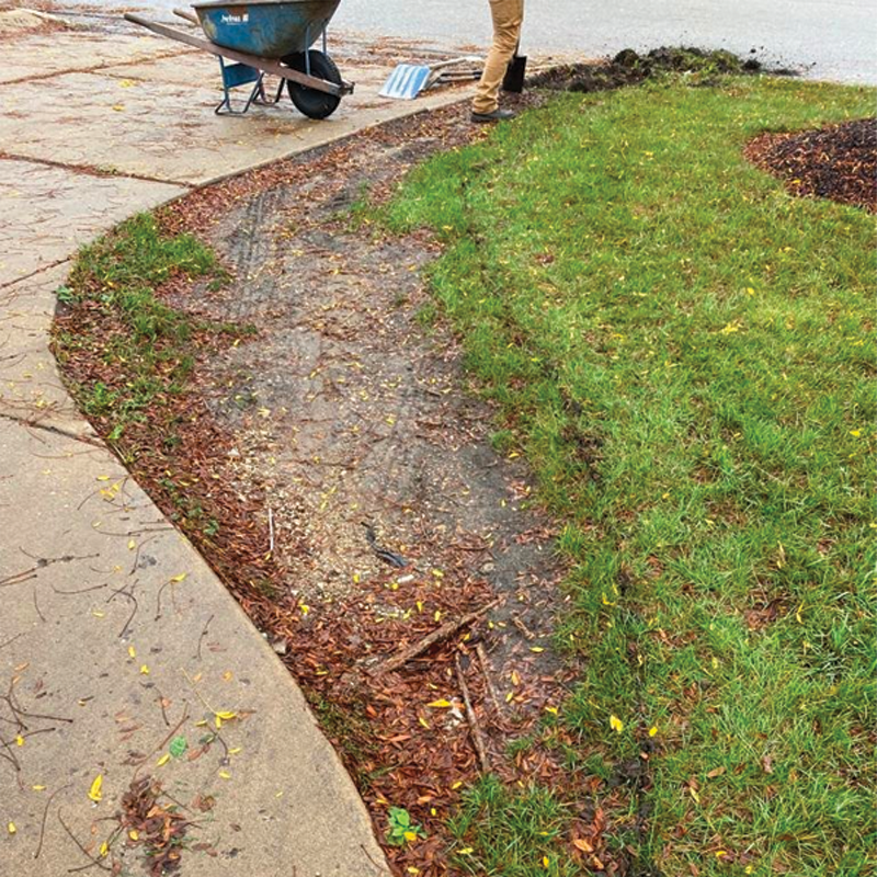 Green Season Landscape Pic-33