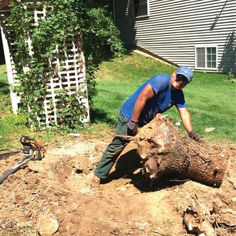 Green Season Landscape Pic-86