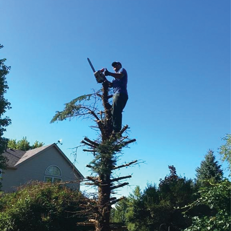 Green Season Landscape Pic-95