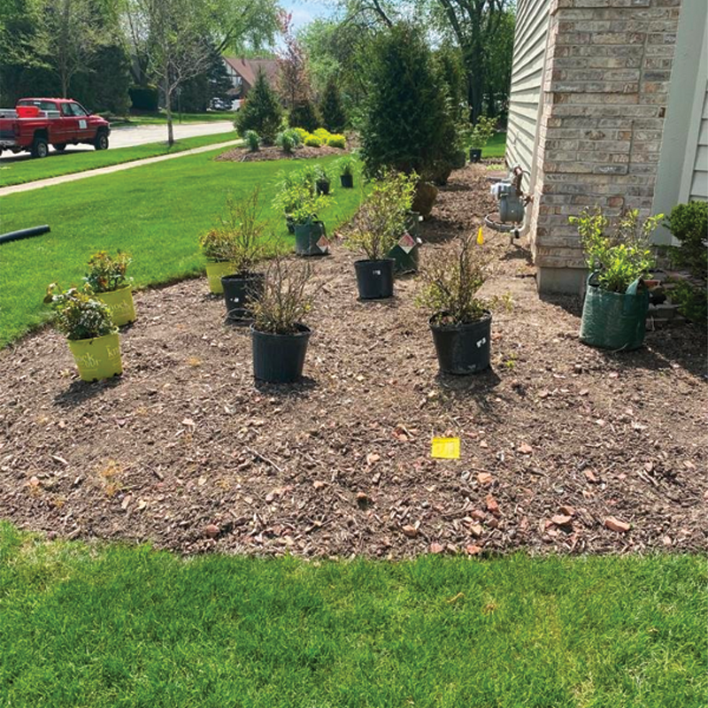 Green Season Landscape Pic-30