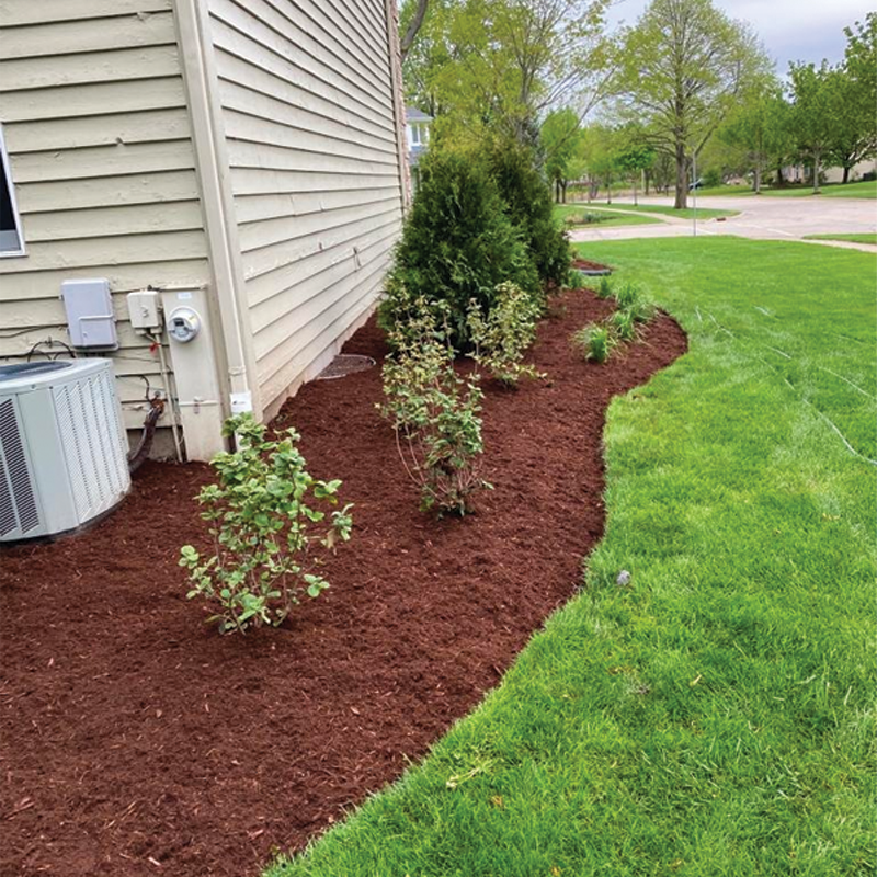 Green Season Landscape Pic-43