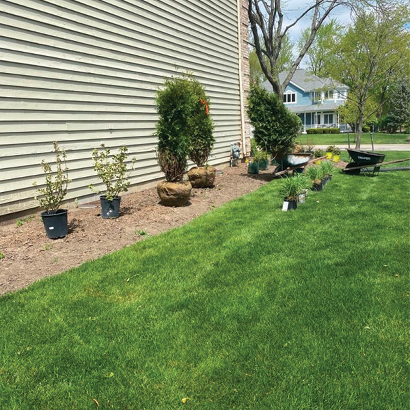 Green Season Landscape Pic-39