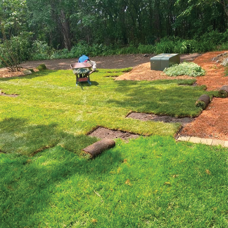 Green Season Landscape Pic-45