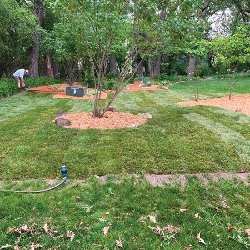 Green Season Landscape Pic-16