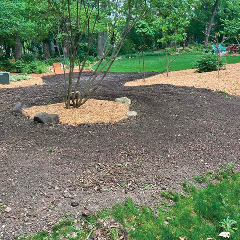 Green Season Landscape Pic-9