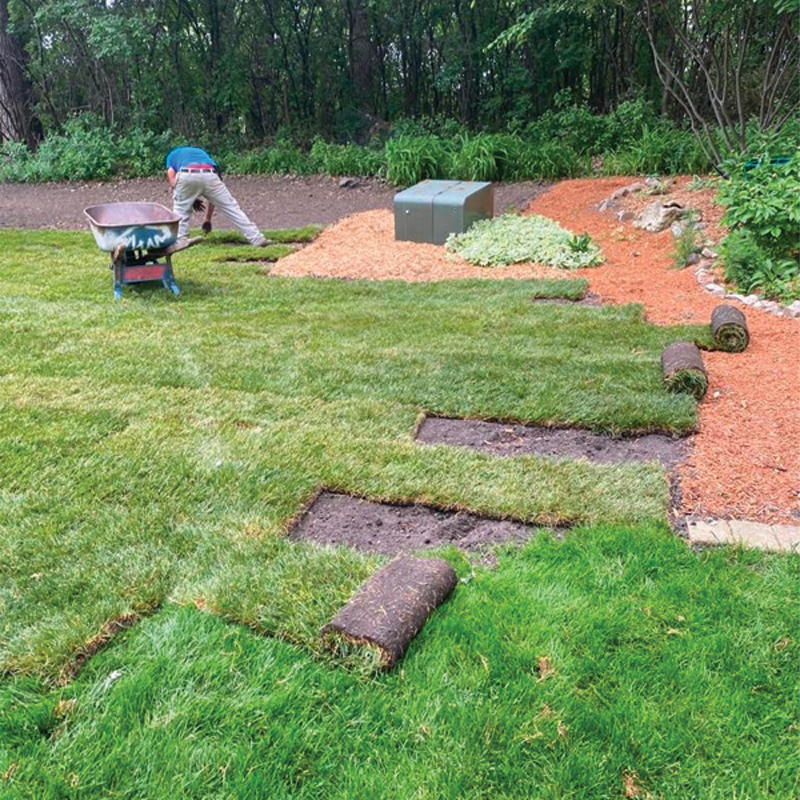 Green Season Landscape Pic-12