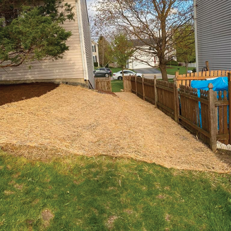 Green Season Landscape Pic-50