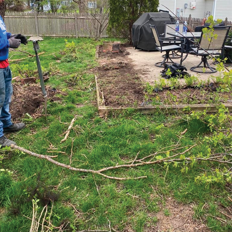 Green Season Landscape Pic-6