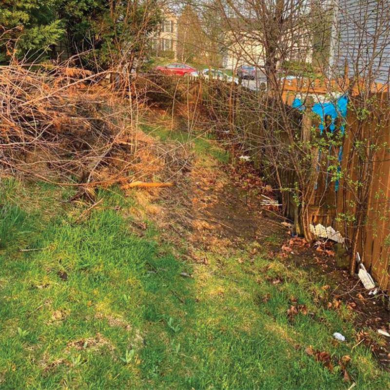 Green Season Landscape Pic-4