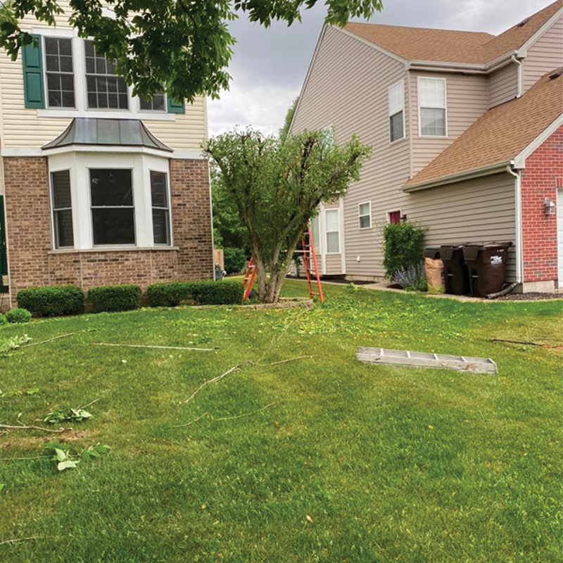 Green Season Landscape Pic-62