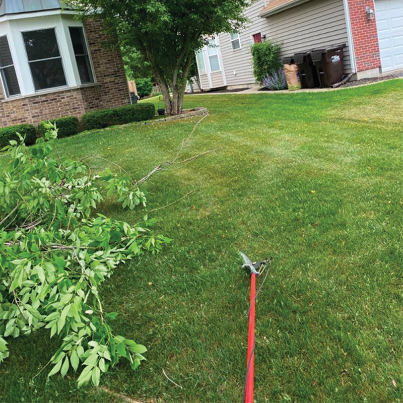 Green Season Landscape Pic-26