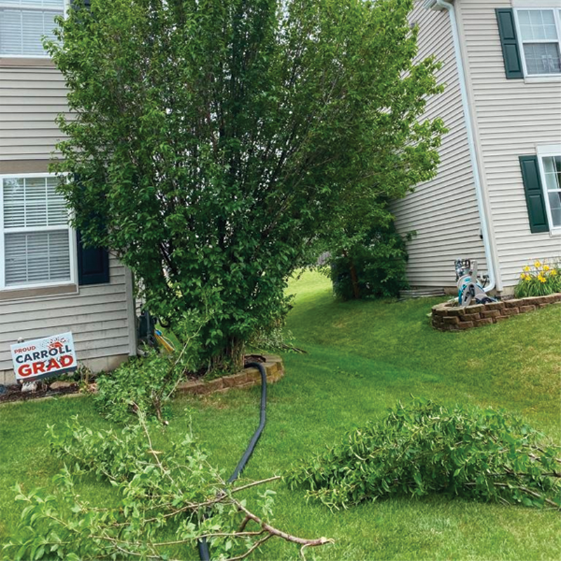 Green Season Landscape Pic-14