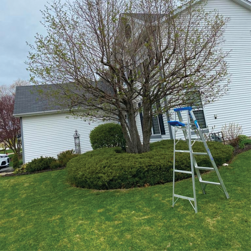 Green Season Landscape Pic-54