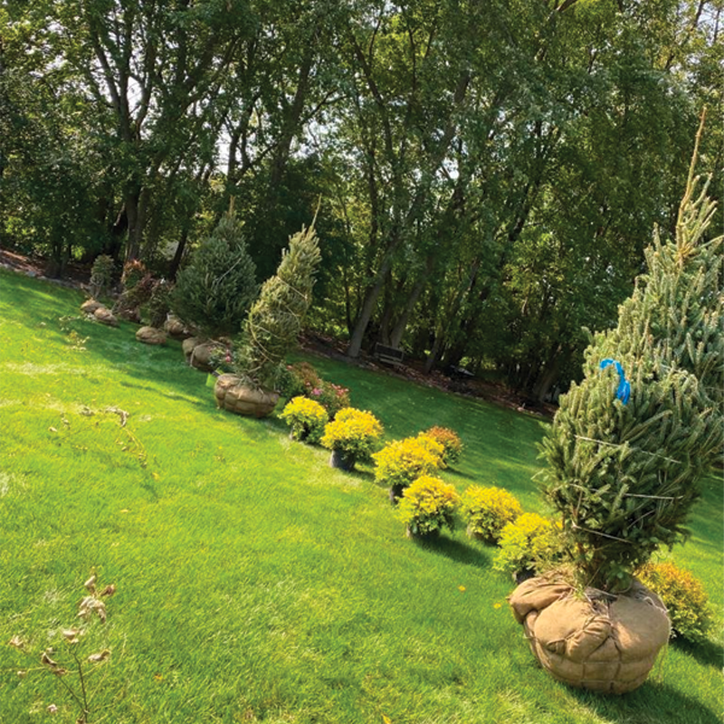 Green Season Landscape Pic-21