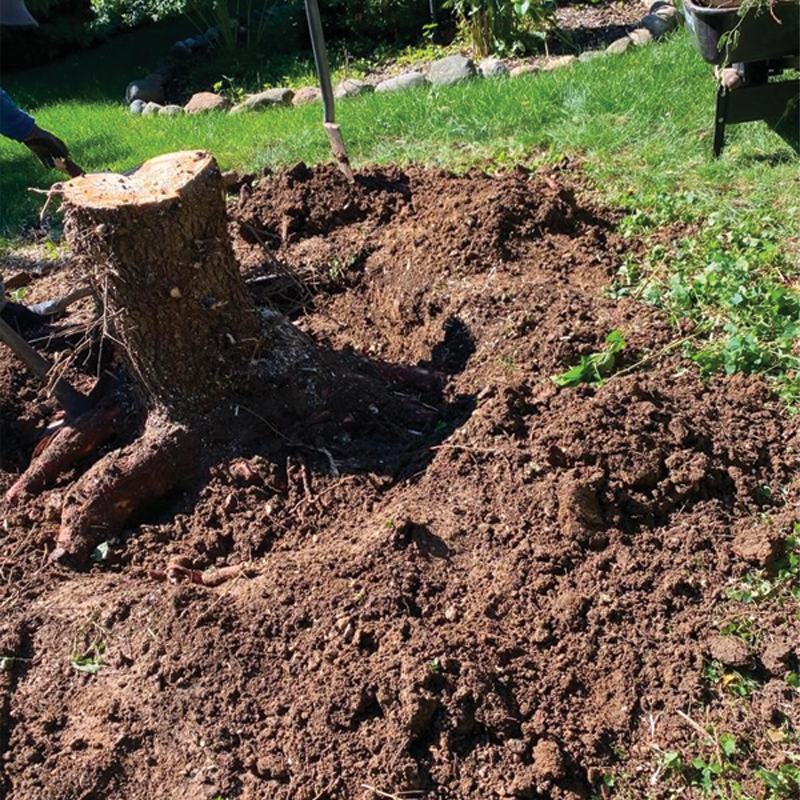 Green Season Landscape Pic-1